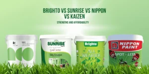 Best & Affordable Paints