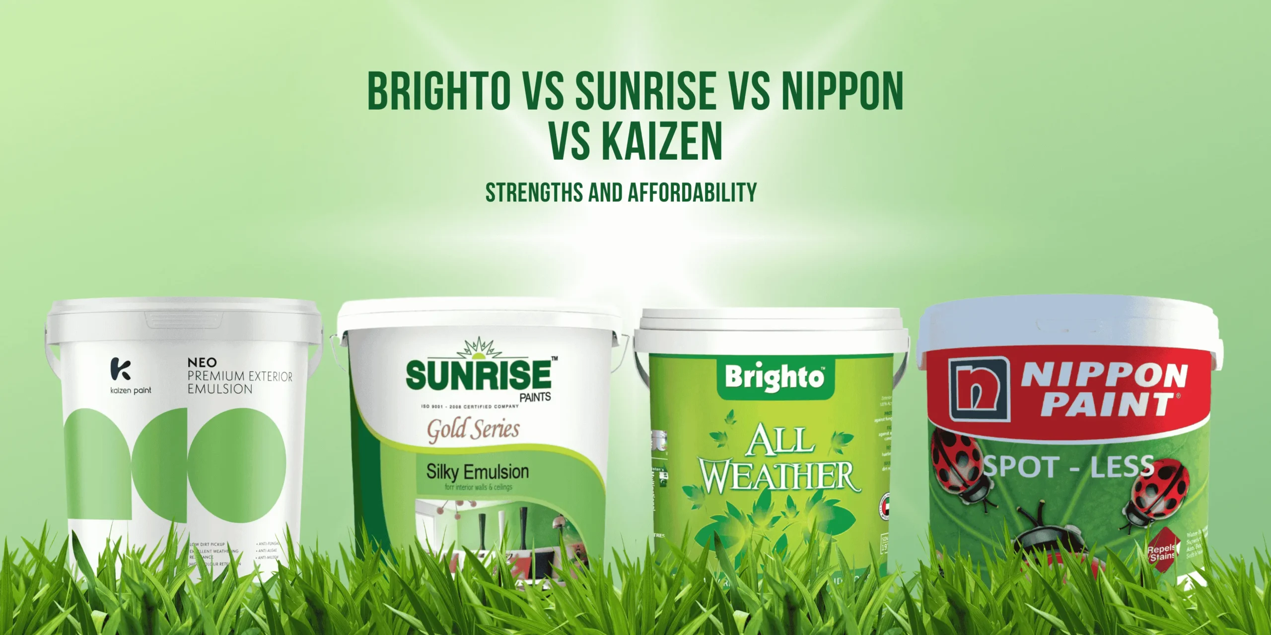 Best & Affordable Paints