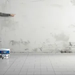 Why Does Interior Paint Lose Its Shine? Solutions for Dull Walls